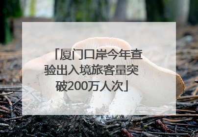 厦门口岸今年查验出入境旅客量突破200万人次