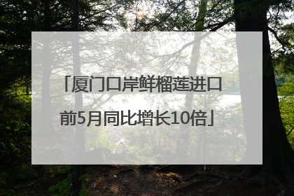 厦门口岸鲜榴莲进口 前5月同比增长10倍