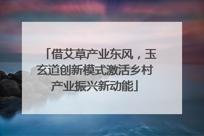 借艾草产业东风，玉玄道创新模式激活乡村产业振兴新动能