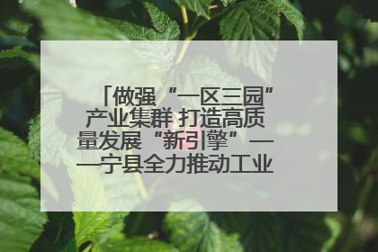 做强“一区三园”产业集群 打造高质量发展“新引擎”——宁县全力推动工业经济提质增效