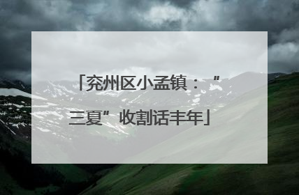 兖州区小孟镇：“三夏”收割话丰年