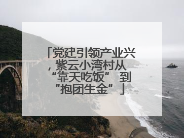 党建引领产业兴，紫云小湾村从 “靠天吃饭” 到 “抱团生金”