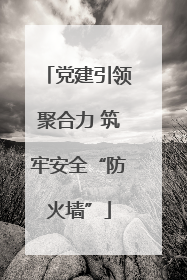 党建引领聚合力 筑牢安全“防火墙”