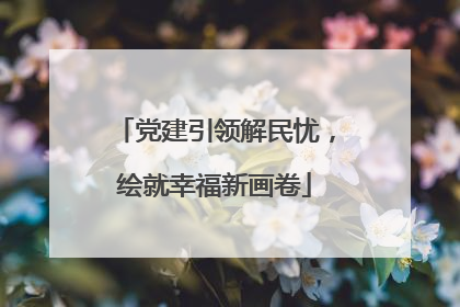 党建引领解民忧，绘就幸福新画卷