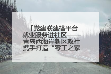 党建联建搭平台 就业服务进社区——青岛西海岸新区政社携手打造“零工之家”就业服务新阵地
