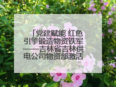 党建赋能 红色引擎锻造物资铁军——吉林省吉林供电公司物资部激活供应链新动能