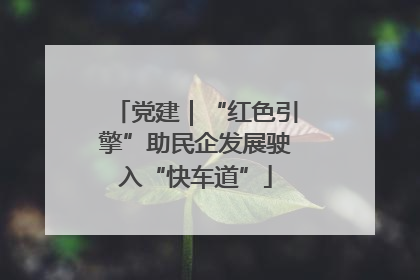 党建｜“红色引擎”助民企发展驶入“快车道”
