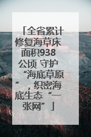 全省累计修复海草床面积938公顷 守护“海底草原”，织密海底生态“一张网”