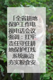 全省耕地保护工作电视电话会议强调：扛牢责任守住耕地保护红线 系统施治夯实粮食安全根基 王宁作出批示 王予波出席并讲话