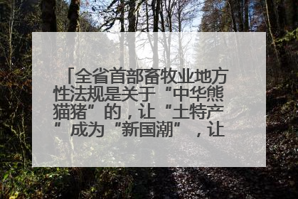 全省首部畜牧业地方性法规是关于“中华熊猫猪”的，让“土特产”成为“新国潮”，让“农产品”升格为“城市IP”
