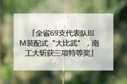 全省69支代表队BIM装配式“大比武”，南工大斩获三项特等奖