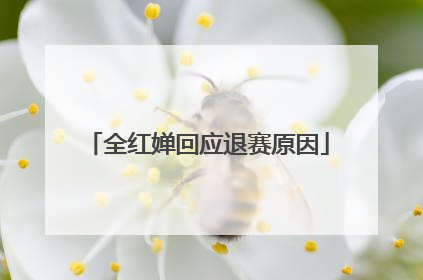 全红婵回应退赛原因