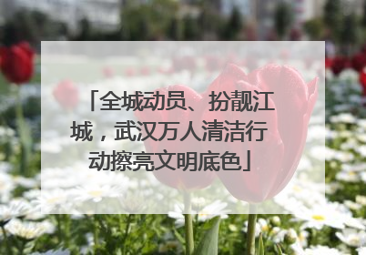 全城动员、扮靓江城，武汉万人清洁行动擦亮文明底色