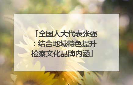 全国人大代表张强：结合地域特色提升检察文化品牌内涵