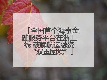 全国首个海事金融服务平台在浙上线 破解航运融资“双重困境”