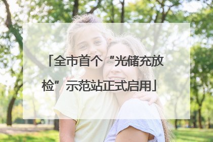 全市首个“光储充放检”示范站正式启用