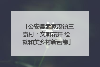 公安县孟家溪镇三袁村：文明花开 绘就和美乡村新画卷