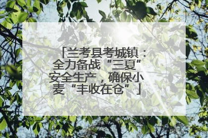 兰考县考城镇：全力备战“三夏”安全生产，确保小麦“丰收在仓”