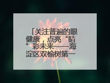 关注普遍的眼健康，点亮“睛”彩未来——海淀区双榆树第一小学全国爱眼日宣传教育活动