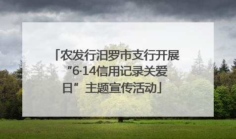 农发行汨罗市支行开展“6·14信用记录关爱日”主题宣传活动