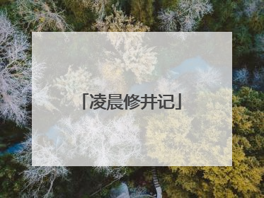 凌晨修井记