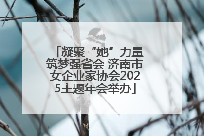 凝聚“她”力量 筑梦强省会 济南市女企业家协会2025主题年会举办