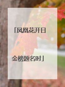 凤凰花开日 金榜题名时