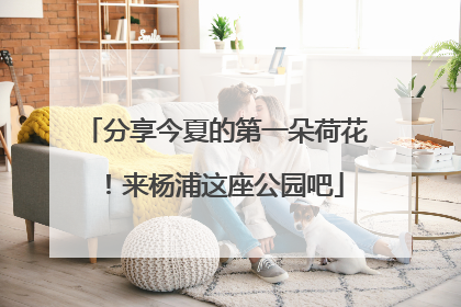分享今夏的第一朵荷花！来杨浦这座公园吧