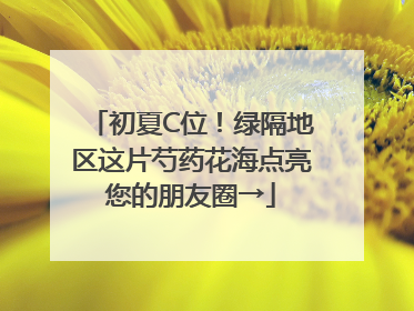 初夏C位！绿隔地区这片芍药花海点亮您的朋友圈→