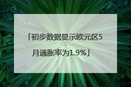 初步数据显示欧元区5月通胀率为1.9%