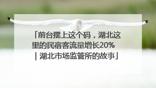 前台摆上这个码，湖北这里的民宿客流量增长20%｜湖北市场监管所的故事