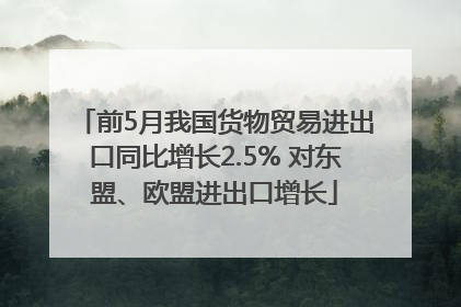 前5月我国货物贸易进出口同比增长2.5% 对东盟、欧盟进出口增长