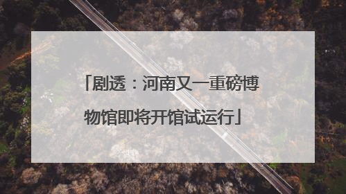 剧透：河南又一重磅博物馆即将开馆试运行