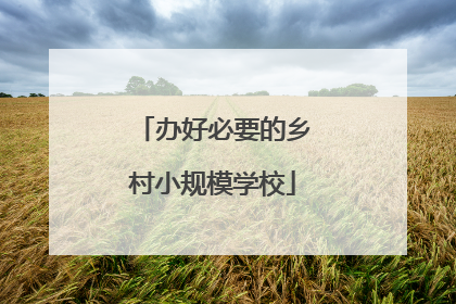 办好必要的乡村小规模学校