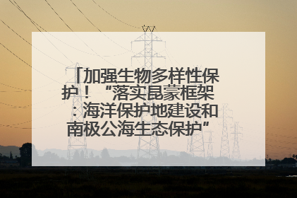 加强生物多样性保护！“落实昆蒙框架：海洋保护地建设和南极公海生态保护”主题论坛将举办