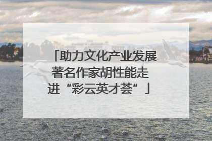 助力文化产业发展 著名作家胡性能走进“彩云英才荟”
