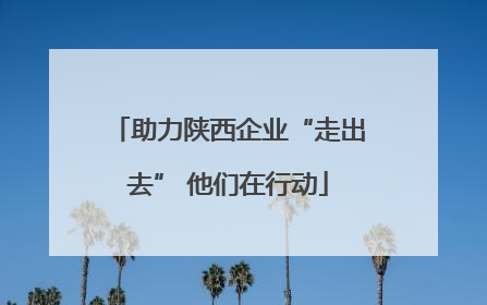 助力陕西企业“走出去” 他们在行动