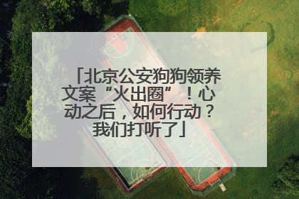 北京公安狗狗领养文案“火出圈”！心动之后，如何行动？我们打听了