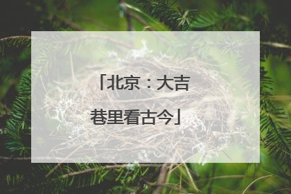 北京：大吉巷里看古今