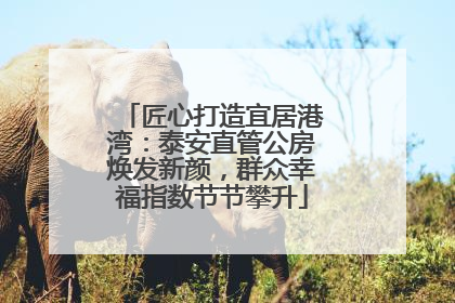匠心打造宜居港湾：泰安直管公房焕发新颜，群众幸福指数节节攀升