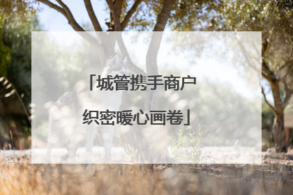 城管携手商户 织密暖心画卷