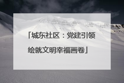 城东社区：党建引领绘就文明幸福画卷