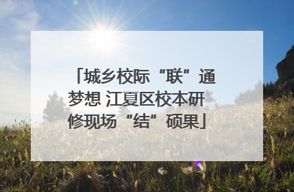 城乡校际“联”通梦想 江夏区校本研修现场“结”硕果