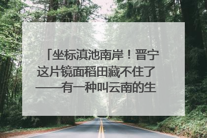 坐标滇池南岸！晋宁这片镜面稻田藏不住了——有一种叫云南的生活之365天