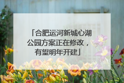 合肥运河新城心湖公园方案正在修改，有望明年开建