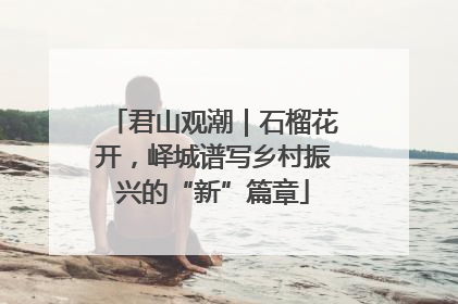 君山观潮｜石榴花开，峄城谱写乡村振兴的“新”篇章