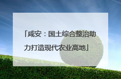 咸安：国土综合整治助力打造现代农业高地
