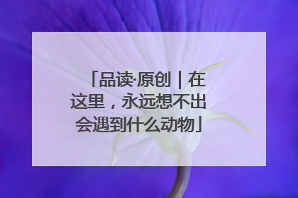 品读·原创｜在这里，永远想不出会遇到什么动物
