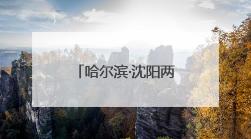 哈尔滨·沈阳两地退役军人服务协会跨区域全领域开展调研交流共绘协同发展