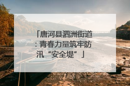 唐河县泗洲街道：青春力量筑牢防汛“安全堤”